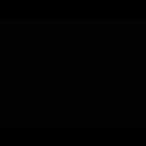 Meet your Posher, Caro